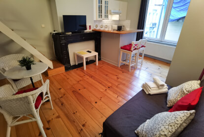 furnished-studio-in-brussels-schuman-eu-district EG491Ds